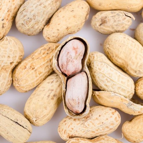 New arrival shelled peanuts with garlic, tangerine peel, and walnuts flavor, fried thin-shelled peanut snacks for drinking, wholesale nuts.