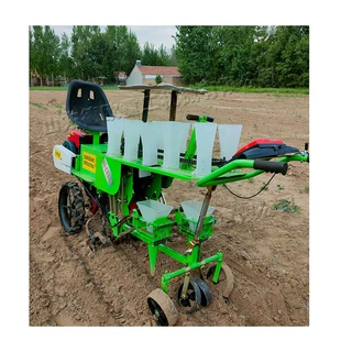 汽油两行蔬菜移栽机座驾式自行走栽苗机农作物西红柿蔬菜插苗机