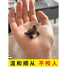 ���J���˵�С�����������A�����缃�N��Ʒ�����m�ϼ��B�Ğ���
