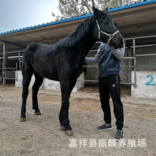 ʲôƷ�N����܇�R���^����B ����܇�ĸ����ɹ��R�����X