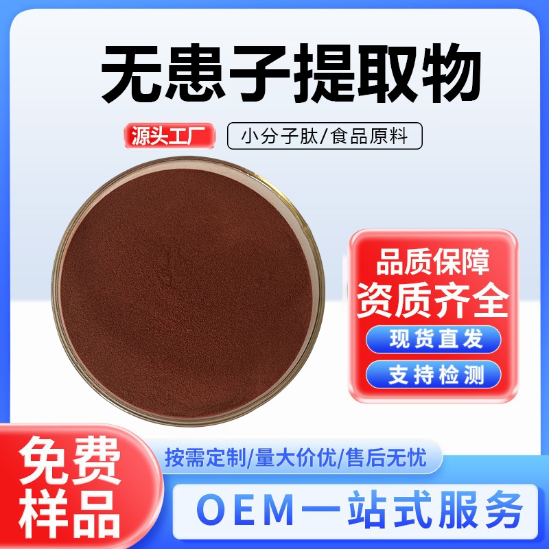 无患子提取物无患子皂甙多规格洗涤日化原料无患子果皮粉厂家供应