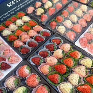 ��ɫ��ɫ��ݮ��������Ʒ���b����֮���ײ�ݮ�t����ݮ����