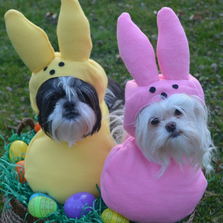 Easter Dog Costume 复活节宠物衣服 可爱兔子狗狗服饰