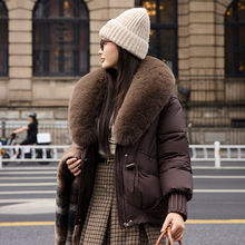 实拍大毛领棉服拼接短款羽绒棉服女秋季新大码直筒型加厚棉衣外套