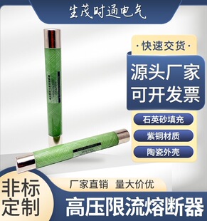 XRNP1-10/12KV�߉������۔�����оPT늉���������������䱣�U�z