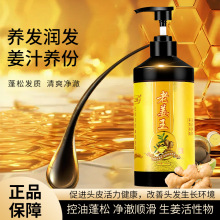 桂之源头疗馆洗发露生姜草本蓬松控油养发顺滑清爽润发洗发水