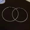 76 Silver Needle-Silver