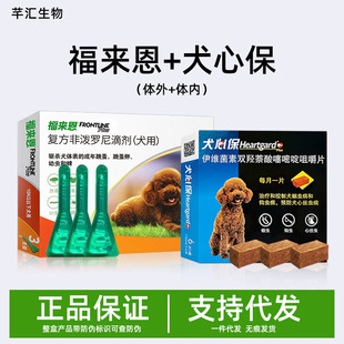 ��������xș�w���w����xș������x�΄����������鸣�R��Ȯ�ı�