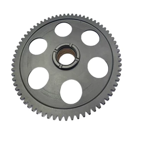 Hs450500550700 1:5 Starter Diski P0330002440A0000