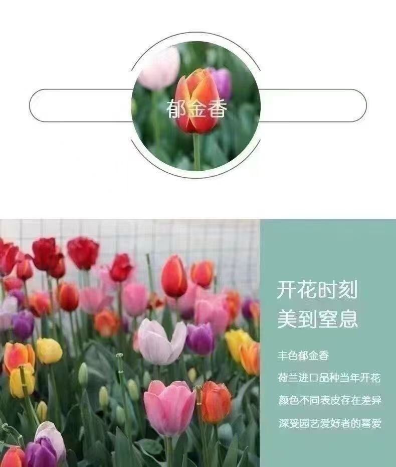 26e51a45-567e-4fd6-82d3-7f3cc4a0676e.jpe