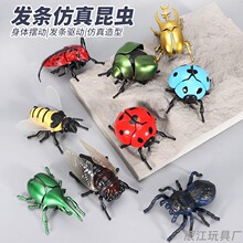 �羳�������x�l�l��會�ͯ��߄������Е��Ӽך��x֩��ģ�����l