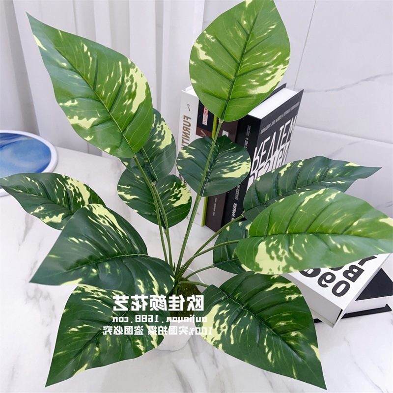 厂家批发仿真绿植绿萝叶万年青绿化景观草仿真植物墙配材仿真植物