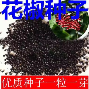 �����N�Ӵ�t�ۻ����N��Ұ��ɽ���t���齷��������̻h�������߲�