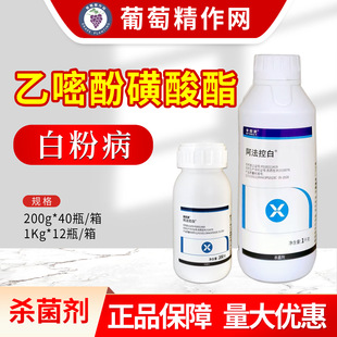 ������ �����ذ� 25%���׷ӻ������S�ϰ׷۲��r���rș������200g