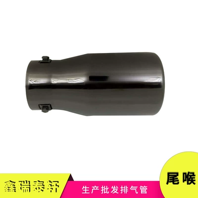 Exhaust pipe Camry 10-18 Ruizhi S618 - flat-titanium-black