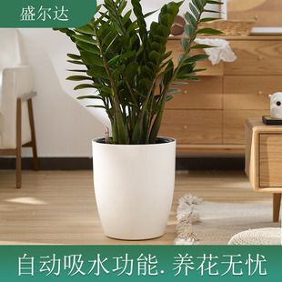 ��ֲ���Ԅ���ˮ���� �A�ΰ�ɫ��ڏ��G�}���Nֲ�Ԅ���ˮ���� ���l