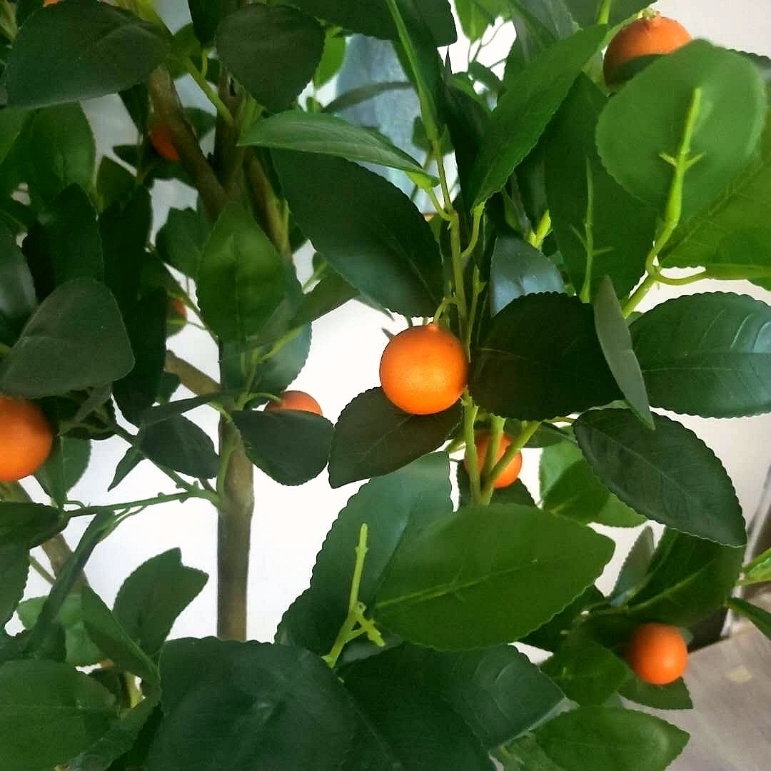 Árbol de naranja artificial Planta de simulación con fruta Árbol de naranja dorado en maceta Estilo nórdico