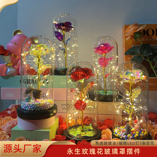 ������õ�岣��������Ϧ���˹�520�Y�� ���滨�[��ĸ�H�YƷ��Ů��