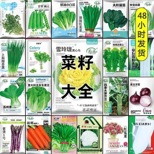 Seed Nine Vegetables North Seeds Dazi Raw Eight Vegetables