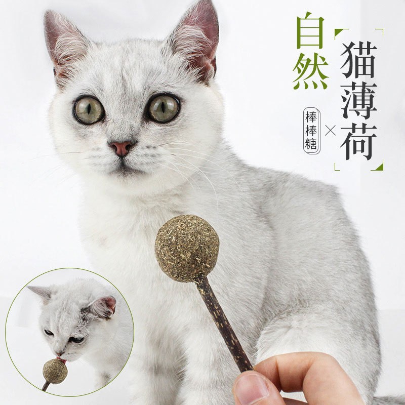 롤리팝