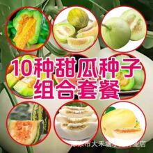 ���b��ϷN�ӱ�Ƥ����ϷN���ļ��߲˷N�Ѵ������߮a����۹�