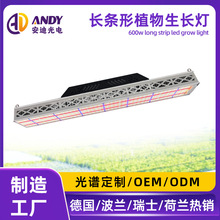 600��ֲ���ȫ���׵¹�������ʿ�߲˴�����������ֲ�����������