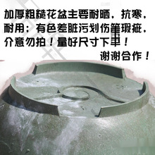 ��̖�A�μӺ��͕�˯ɏ�ɻ�ˮ���o���������׻�������Nֲʹ��10��