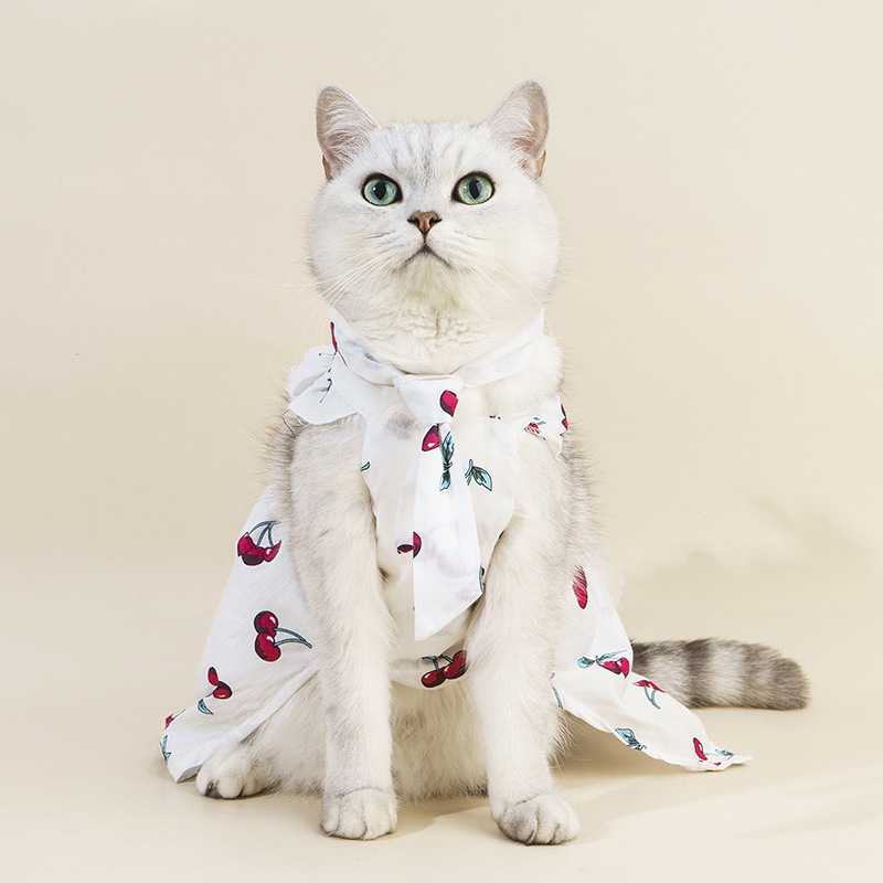 60g Weight Pet Clothing Type Of Pet Supplies 1 Piece Quantity Casual, Daily Occasion Cotton Material Peach, Cherry Pattern Summer Season Cute Style 1 Piece Summer Cute Cotton Peach Cherry Pet Clothing 1