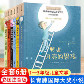 小小长青藤国际大奖小说注音版全套6册系列书系第一辑爬进月亮的