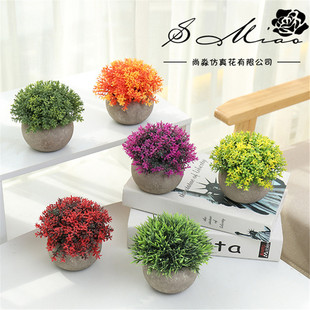 �ٻ����ϲ���ֲ�����Է��滨����[�S��ֱ������Gֲ�b�������