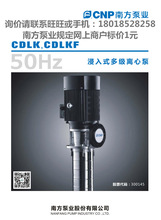 南方泵 CDLK(F)2-60/6 2-70/7 浸入式多級離心泵 工業清洗設備泵