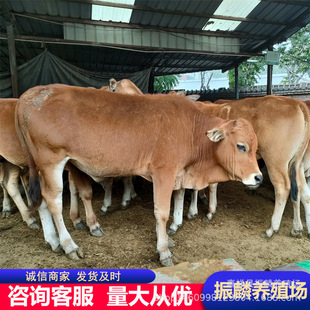 ţ�� �����Sţ����ţ�Bֳ��ţ��200���ʲô�r��΢��ţ�Bֳ��