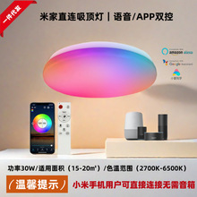 新款LED智能吸顶灯WiFi蓝牙可小爱同学语音调节 客厅卧室过道圆形