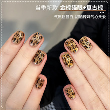 �ﶬ�������ɫָ�����z2025���@���¿���؈�������pɫ���b