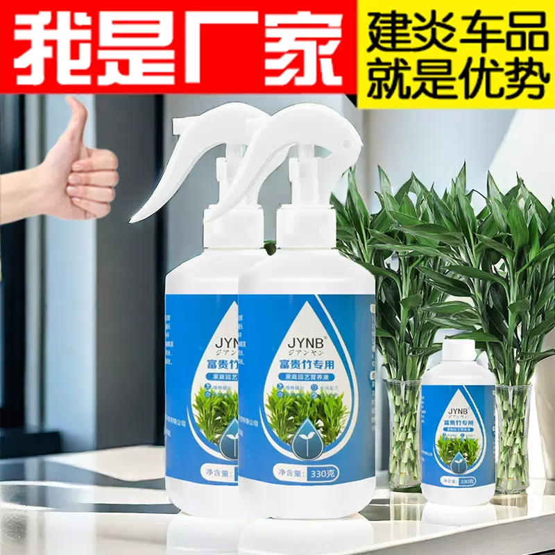 富贵竹营养液专用肥治黄叶生根转运竹龙竹观音竹水培植物专用