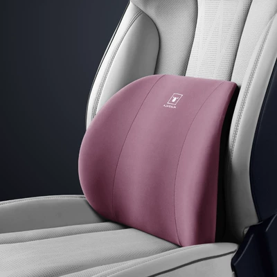 cushion a generation of hair, Headrest - rouge-purple-waist