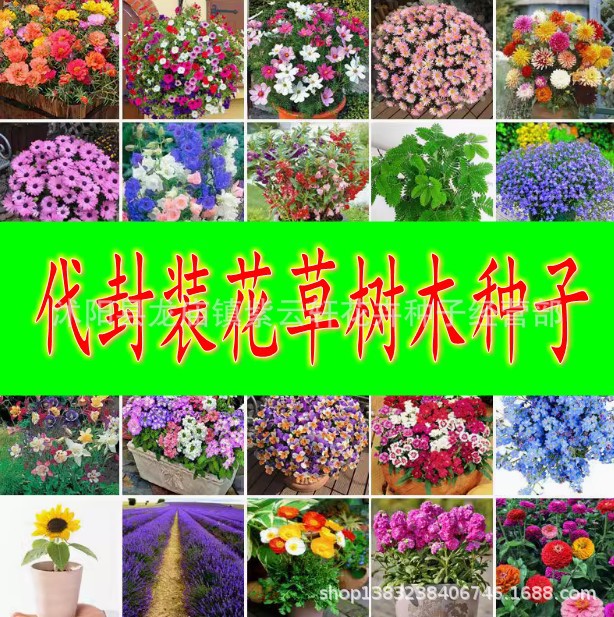 代封装小包装花卉蔬菜草坪牧草林木树种子包邮量大优惠保证质量