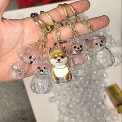 犬猫透明毛収納ボックスかわいい動物毛玉カプセルペンダント装飾記念ダストボックスギフト