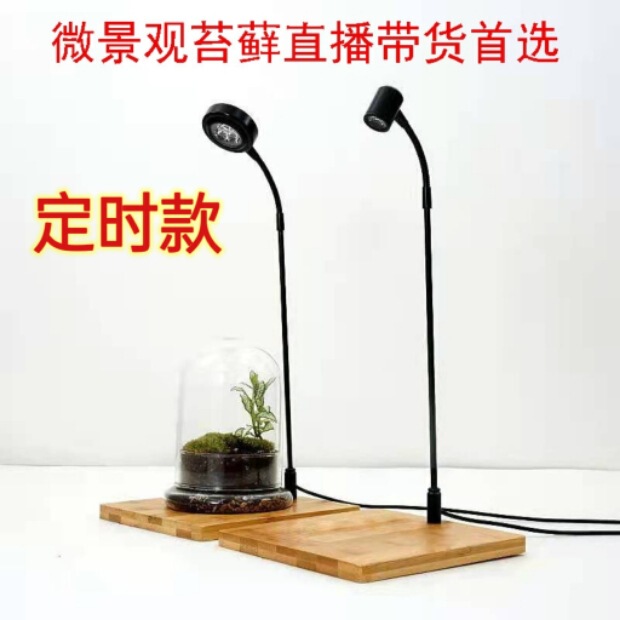 Directly Supplied Bamboo Board Lamp, Micro Landscape Plant Lamp, Ornamental Fish Tank Spotlight, Glass Bottle, Moss Growth Fill Light