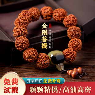 �����ִ�������ʿ�������Ů����P������������������ԭ��