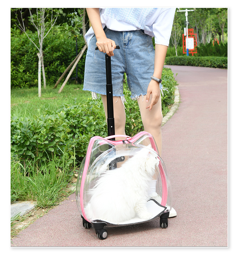 Title 13, Pet Trolley Case Dog Travel Transport Bag Trans...