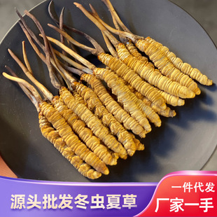 2024���ض��x�Ĳ� �²����l ��Դ�����x�� �����x�Y��һ�����l