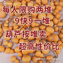 ������J�[������ְѼ��ֶ�覴��Ӯ����Λρ����ͥ�ˌ��N��