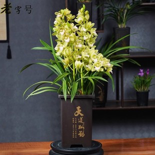 �m�����Դ������mֱ�N�����ļ��������F���m����ֲ���҃�