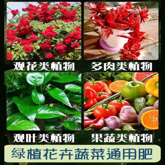 Flower General Granular Special Fertilizer, Succulent Granular Nutrient Fertilizer, Money Tree Nitrogen, Phosphorus and Potassium Compound Fertilizer, Flower Growing Soil