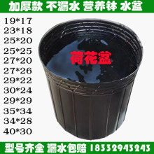 水盆 无孔营养钵 加厚塑料睡莲不漏水 荷花盆 碗莲盆 荷花营养杯