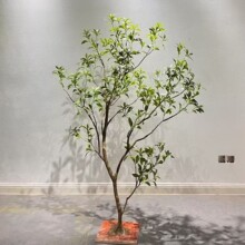 �����R��ľ���uצ��ֲ����쾰�҃��b�ɾ������Gֲ���ͼ٘�