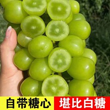 ����ꖹ�õ���������rˮ��5���������џo����ӡ�������ᮔ������