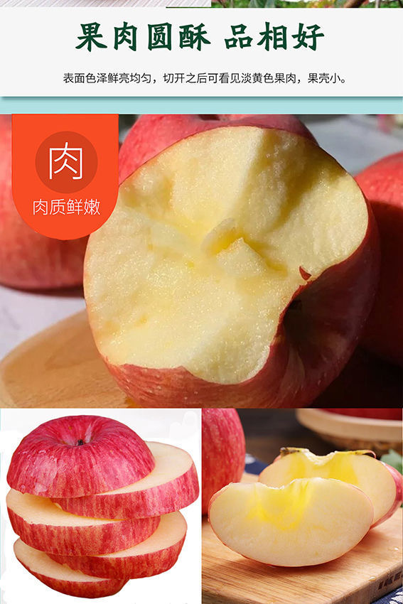 微信图片_202309191141071