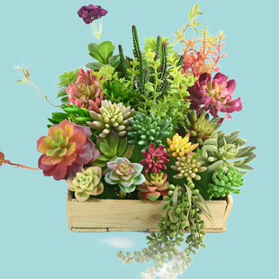 ����Gֲ���ϻ����滨DIY΢���^����ֲ���Ҿ��b��辰�ٶ���